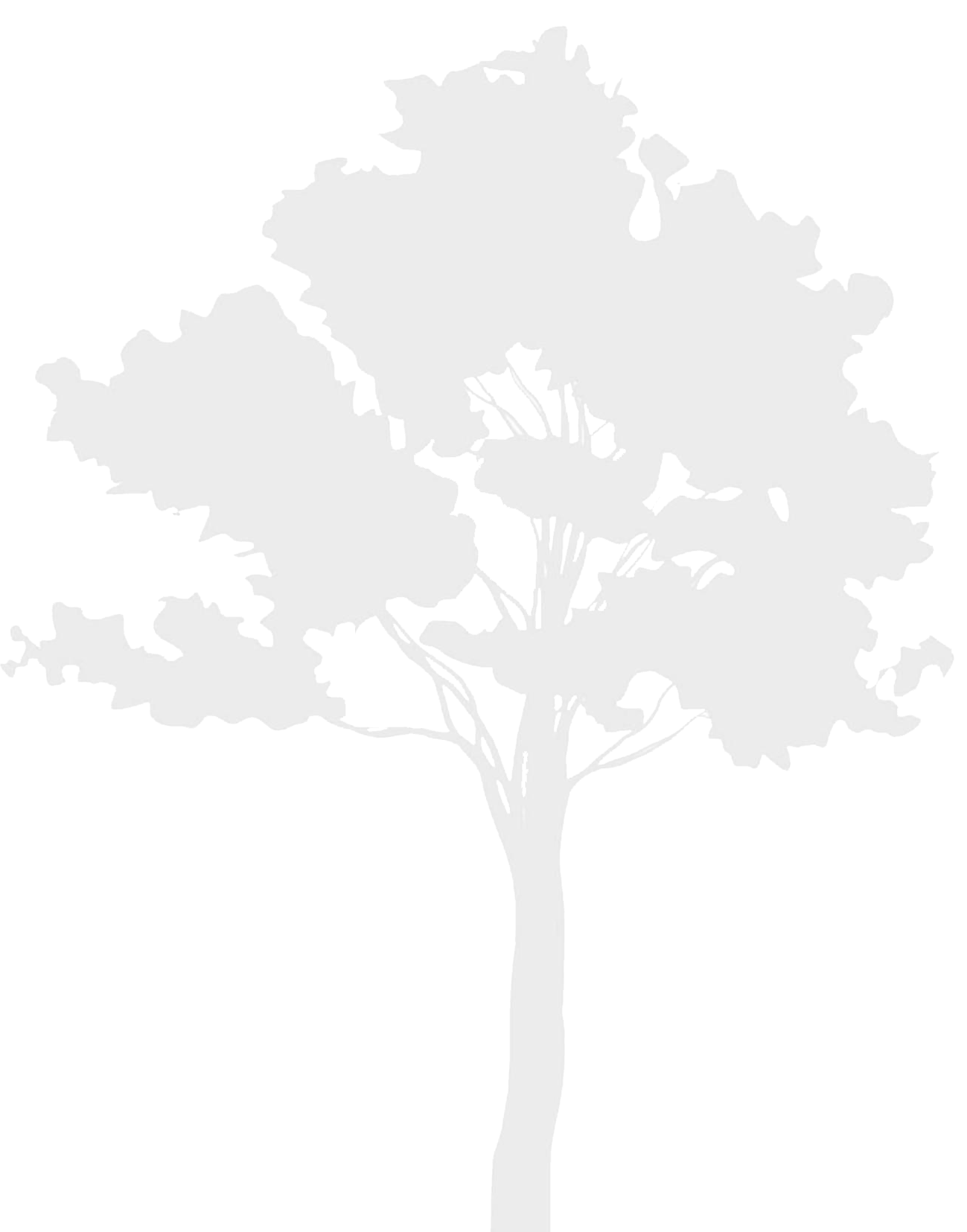 Arbre ADN Paysage